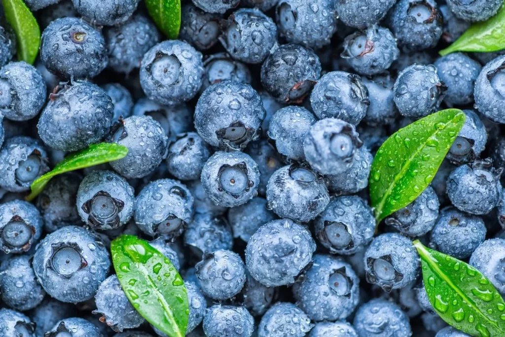 8 Surprising Blueberry Benefits for Your Skin